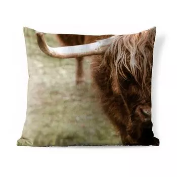 Уличная подушка MuchoWow - Шотландский горец - Крупный план - Рог - 40x40 см - Устойчивость к атмосферным воздействиям - Подушка для отдыха - Чехол на подушку - Хлопчатобумажная ткань - Декоративные наволочки, мультиколор