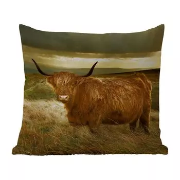 Уличная подушка MuchoWow - Шотландский горец - Легкий - Натуральный - 40x40 см - Устойчивость к атмосферным воздействиям - Подушка для отдыха - Чехол на подушку - Хлопчатобумажная ткань - Декоративные наволочки, мультиколор