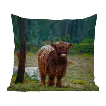 Уличная подушка MuchoWow - Шотландский горец - Лес - Мох - 50x50 см - Устойчивость к атмосферным воздействиям - Подушка для отдыха - Чехол на подушку - Хлопчатобумажная ткань - Декоративные наволочки, мультиколор