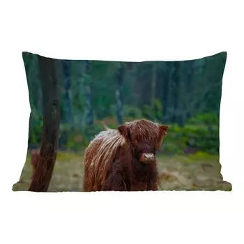Уличная подушка MuchoWow - Шотландский горец - Лес - Мох - 50x30 см - Устойчивость к атмосферным воздействиям - Подушка для отдыха - Чехол на подушку - Хлопчатобумажная ткань - Декоративные наволочки, мультиколор