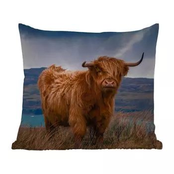 Уличная подушка MuchoWow - Шотландский горец - Небеса - Натуральный - 40x40 см - Устойчивость к атмосферным воздействиям - Подушка для отдыха - Чехол на подушку - Хлопчатобумажная ткань - Декоративные наволочки, мультиколор