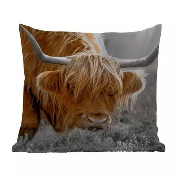 Уличная подушка MuchoWow - Шотландский горец - Растения - Черный - Белый - 50x50 см - Устойчивость к атмосферным воздействиям - Подушка для отдыха - Чехол на подушку - Хлопчатобумажная ткань - Декоративные наволочки, мультиколор