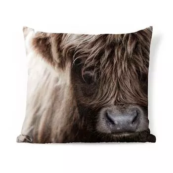 Уличная подушка MuchoWow - Шотландский горец - Шотландская корова - 60x60 см - Устойчивость к атмосферным воздействиям - Подушка для отдыха - Чехлы для подушек - Декоративные чехлы для подушек - Декоративные чехлы для подушек, мультиколор