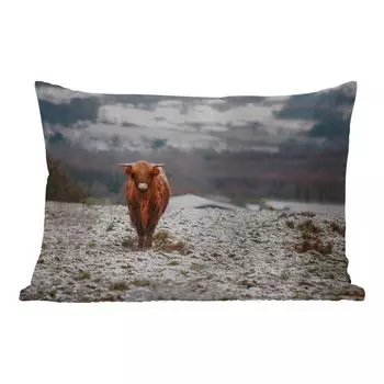 Уличная подушка MuchoWow - Шотландский горец - Снег - Небо - 50x30 см - Устойчивость к атмосферным воздействиям - Подушка для отдыха - Чехол на подушку - Хлопчатобумажная ткань - Декоративные чехлы на подушки, мультиколор