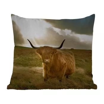 Уличная подушка MuchoWow - Шотландский горец - Солнце - Трава - 50x50 см - Устойчивость к атмосферным воздействиям - Подушка для отдыха - Чехол на подушку - Хлопчатобумажная ткань - Декоративные чехлы на подушки, мультиколор