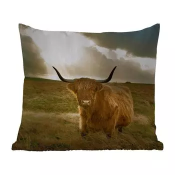 Уличная подушка MuchoWow - Шотландский горец - Солнце - Животные - 40x40 см - Устойчивость к атмосферным воздействиям - Подушка для отдыха - Чехол на подушку - Хлопчатобумажная ткань - Декоративные наволочки, мультиколор