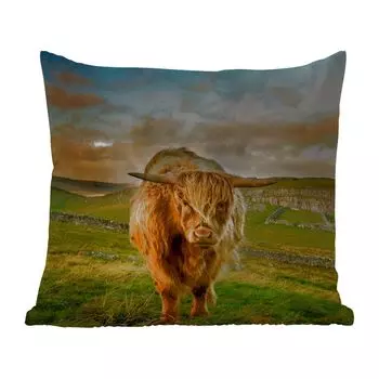 Уличная подушка MuchoWow - Шотландский горец - Трава - Гора - 40x40 см - Устойчивость к атмосферным воздействиям - Подушка для отдыха - Чехол на подушку - Хлопчатобумажная ткань - Декоративные наволочки, мультиколор