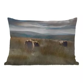 Уличная подушка MuchoWow - Шотландский горец - Туман - Трава - 60x40 см - Устойчивость к атмосферным воздействиям - Подушка для отдыха - Чехлы для подушек - Декоративные чехлы для подушек - Декоративные чехлы для подушек, мультиколор