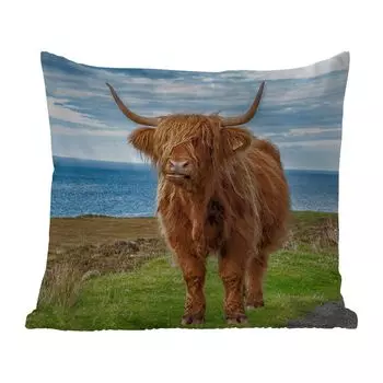 Уличная подушка MuchoWow - Шотландский горец - Вода - Рога - 50x50 см - Устойчивость к атмосферным воздействиям - Подушка для отдыха - Чехол на подушку - Хлопчатобумажная ткань - Декоративные наволочки, мультиколор