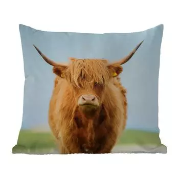 Уличная подушка MuchoWow - Шотландский горец - Волосы - Трава - 40x40 см - Устойчивость к атмосферным воздействиям - Подушка для отдыха - Чехол на подушку - Хлопчатобумажная ткань - Декоративные чехлы на подушки, мультиколор