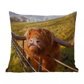 Уличная подушка MuchoWow - Шотландский горец - Забор - Трава - 50x50 см - Устойчивость к атмосферным воздействиям - Подушка для отдыха - Чехол на подушку - Хлопчатобумажная ткань - Декоративные наволочки, мультиколор