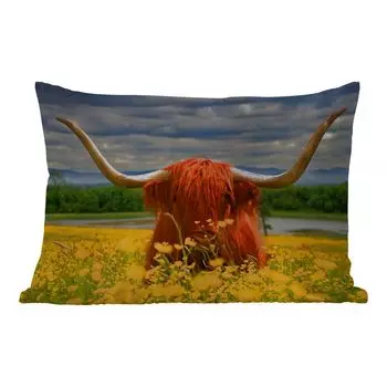 Уличная подушка MuchoWow - Шотландский горец - Животные - Цветы - 50x30 см - Устойчивость к атмосферным воздействиям - Подушка для отдыха - Чехол на подушку - Хлопчатобумажная ткань - Декоративные наволочки, мультиколор