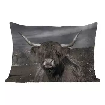 Уличная подушка MuchoWow - Шотландский горец - Животные - Рога - 50x30 см - Устойчивость к атмосферным воздействиям - Подушка для отдыха - Чехол на подушку - Хлопчатобумажная ткань - Декоративные наволочки, мультиколор