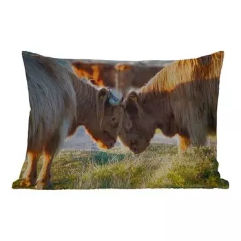 Уличная подушка MuchoWow - Шотландский горец - Животные - Солнце - 60x40 см - Устойчивость к атмосферным воздействиям - Подушка для отдыха - Чехлы для подушек - Декоративные чехлы для подушек - Декоративные чехлы для подушек, мультиколор