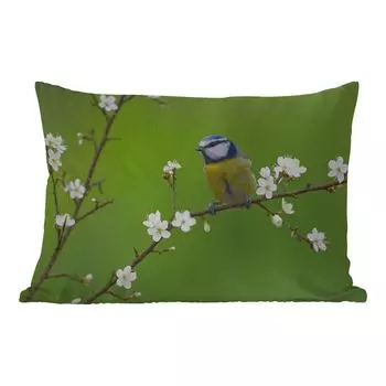Уличная подушка MuchoWow - Синица - Ветка - Цветы - Цветущие ветки - Птица - 60x40 см - Устойчивость к атмосферным воздействиям - Подушка для отдыха - Чехлы для подушек - Декоративные чехлы для подушек - Декоративные чехлы для подушек, мультикол...