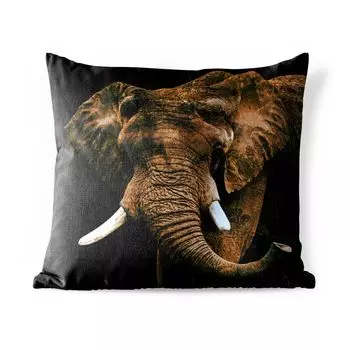 Уличная подушка MuchoWow - Слон - Коричневый - Зубы - 45x45 см - Устойчивость к атмосферным воздействиям - Подушка для отдыха - Чехлы для подушек - Декоративные чехлы для подушек - Декоративные чехлы для подушек, мультиколор