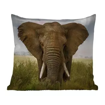 Уличная подушка MuchoWow - Слон - Природа - Трава - Животные - Пейзаж - 50x50 см - Устойчивость к атмосферным воздействиям - Подушка для отдыха - Чехол на подушку - Хлопчатобумажная ткань - Декоративные наволочки, мультиколор