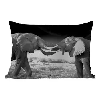 Уличная подушка MuchoWow - Слон - Животные - Черно-белый - Портрет - Пейзаж - 60x40 см - Устойчивость к атмосферным воздействиям - Подушки для отдыха - Чехлы для подушек - Декоративные чехлы для подушек - Декоративные чехлы для подушек, мультико...