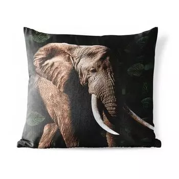 Уличная подушка MuchoWow - Слон - Животные - Зубы - 60x60 см - Устойчивость к атмосферным воздействиям - Подушка для отдыха - Чехлы для подушек - Декоративные чехлы для подушек - Декоративные чехлы для подушек, мультиколор