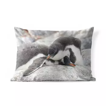 Уличная подушка MuchoWow — Спящие пингвины — 50x30 см — Устойчивость к атмосферным воздействиям — Подушка для отдыха — Чехол на подушку — Хлопчатобумажная ткань — Декоративные чехлы на подушки, мультиколор