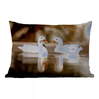 Уличная подушка MuchoWow - Утка - Белый - Животные - Вода - Птица - Утки - 50x30 см - Устойчивость к атмосферным воздействиям - Подушка для отдыха - Чехол на подушку - Хлопчатобумажная ткань - Декоративные наволочки, мультиколор