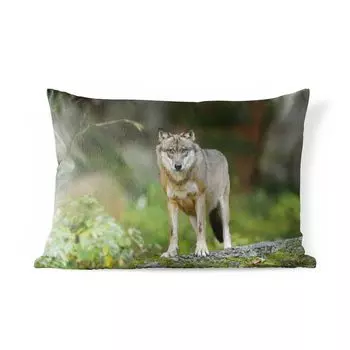 Уличная подушка MuchoWow - Волк - Азия - Растения - 60x40 см - Устойчивость к атмосферным воздействиям - Подушка для отдыха - Чехлы для подушек - Декоративные чехлы для подушек - Декоративные чехлы для подушек, мультиколор