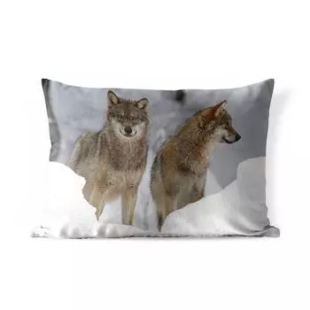 Уличная подушка MuchoWow - Волк - Снег - Животные - 60x40 см - Устойчивость к атмосферным воздействиям - Подушка для отдыха - Чехлы для подушек - Декоративные чехлы для подушек - Декоративные чехлы для подушек, мультиколор
