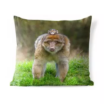 Уличная подушка MuchoWow - Животное - Обезьяна - Ребенок - 60x60 см - Устойчивость к атмосферным воздействиям - Подушка для отдыха - Чехлы на подушки - Декоративные чехлы на подушки - Декоративные чехлы на подушки, мультиколор