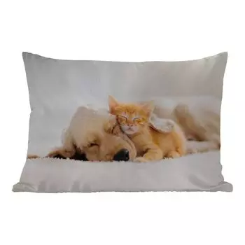 Уличная подушка MuchoWow - Животные - Собака - Котенок - Красный - 60x40 см - Устойчивость к атмосферным воздействиям - Подушка для отдыха - Чехлы для подушек - Декоративные чехлы для подушек - Декоративные чехлы для подушек, мультиколор