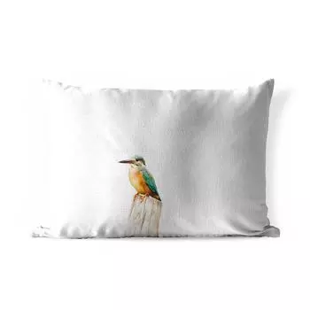 Уличная подушка MuchoWow — Зимородок — Перья — Кола — 50x30 см — Устойчивость к атмосферным воздействиям — Подушка для отдыха — Чехол на подушку — Хлопчатобумажная ткань — Декоративные чехлы на подушки, мультиколор