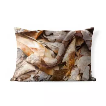 Уличная подушка MuchoWow — Змея — Камуфляж — Листья — 50x30 см — Устойчивость к атмосферным воздействиям — Подушка для отдыха — Чехол на подушку — Хлопчатобумажная ткань — Декоративные наволочки, мультиколор