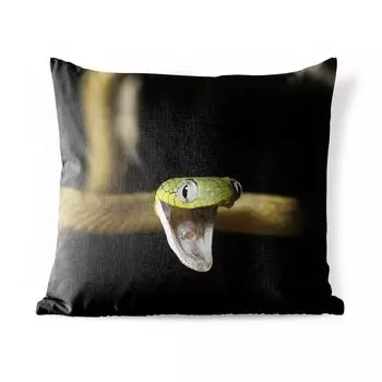 Уличная подушка MuchoWow — Змея — Зеленый — Желтый — 50x50 см — Устойчивость к атмосферным воздействиям — Подушка для отдыха — Чехол на подушку — Хлопчатобумажная ткань — Декоративные чехлы на подушки, мультиколор