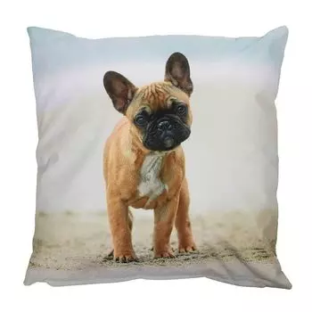 Уличная подушка с мотивом собаки, садовая подушка немецкого дога, собака, водоотталкивающая: 40 x 40 см. Размер: 40 x 40 см Esschert Design