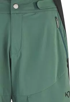 Уличные брюки ANE Kari Traa, зеленый
