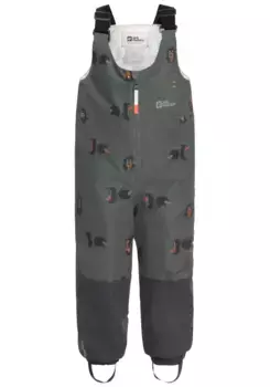 Уличные брюки Jack Wolfskin "GEELY 2L INS PRINT BIB K", зеленый