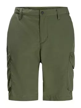 Уличные брюки Jack Wolfskin KALAHARI, оливковый