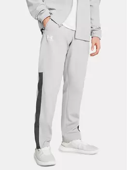 Уличные брюки свободного кроя Under Armour, серый