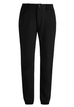 Уличные брюки Whistler ALON, черный