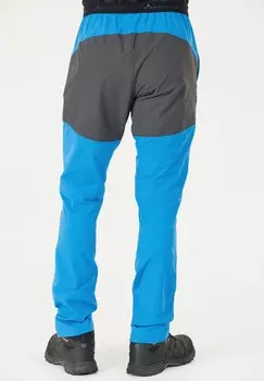 Уличные брюки Whistler, синий