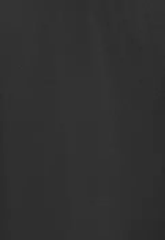 Уличные шорты Endurance, черный