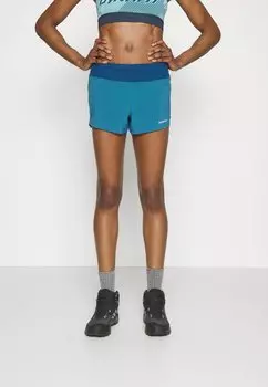 Уличные шорты Patagonia, синий