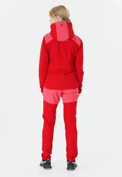 Уличные штаны Whistler, красный