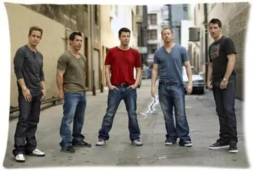 Универсальная наволочка из хлопка и полиэстера, мягкая наволочка, новые детские наволочки с принтом, двусторонние, 20 на 30 дюймов Generic