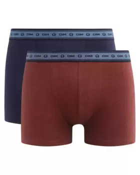 Упаковка из 2 простых и экологически чистых боксеров из органического хлопка Dim, мультиколор