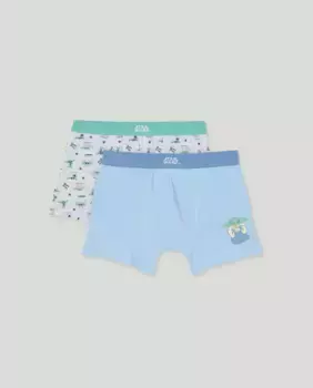 Упаковка из двух боксеров для мальчиков Cotton Juice, многоцветный