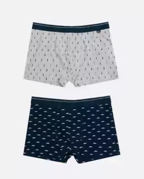 Упаковка из двух мужских трикотажных трусов-боксеров разных цветов Admas, мультиколор