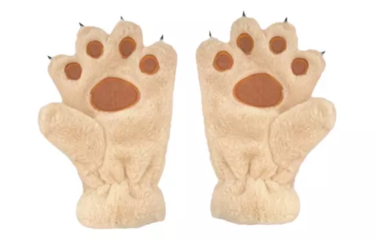 Us8Acc Женские трикотажные перчатки