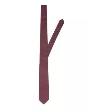 Устойчивый мужской галстук Selected, красный