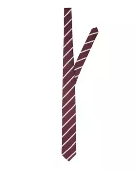 Устойчивый мужской галстук Selected, красный