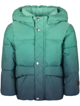 Утепленная куртка Hayden Molo, зеленый